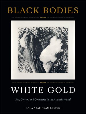 cover image of Black Bodies, White Gold